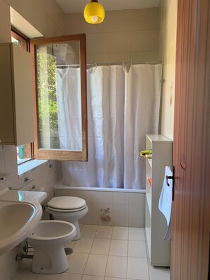 Assecador de cabells, bidet, tovalloles i sabó