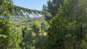 A lush, green landscape with dense trees and a distant view of houses. - Villa Panorama (Bivio Acquavella)