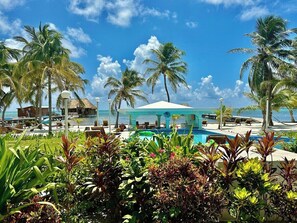 Un complexe hôtelier doté d’une piscine, de palmiers et offrant une vue sur la plage.