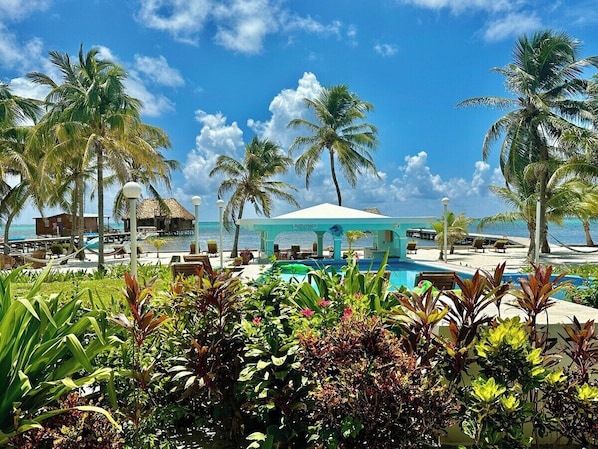Un resort con piscina, palmeras y vista al mar.