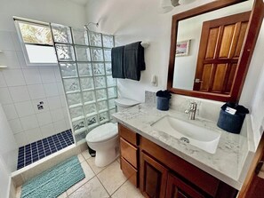 Shower, hair dryer