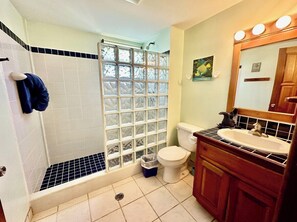 Shower, hair dryer, towels, soap