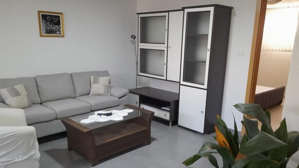 Una sala de estar con un sofá gris, una mesa de centro de madera, un mueble para televisión y una planta en maceta.