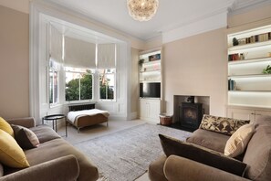 Smart TV, fireplace, books