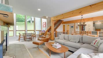 TV, fireplace, books