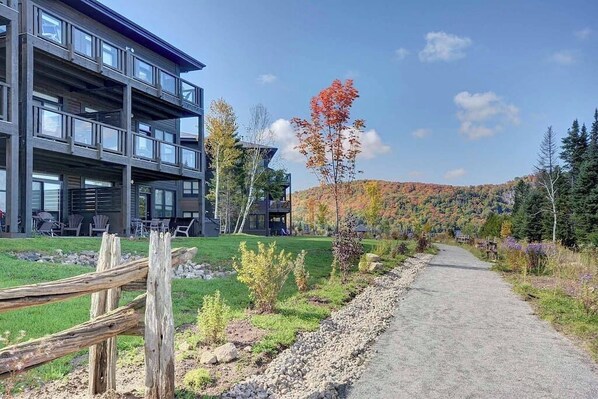 A modern building with a gravel path and a wooden fence.