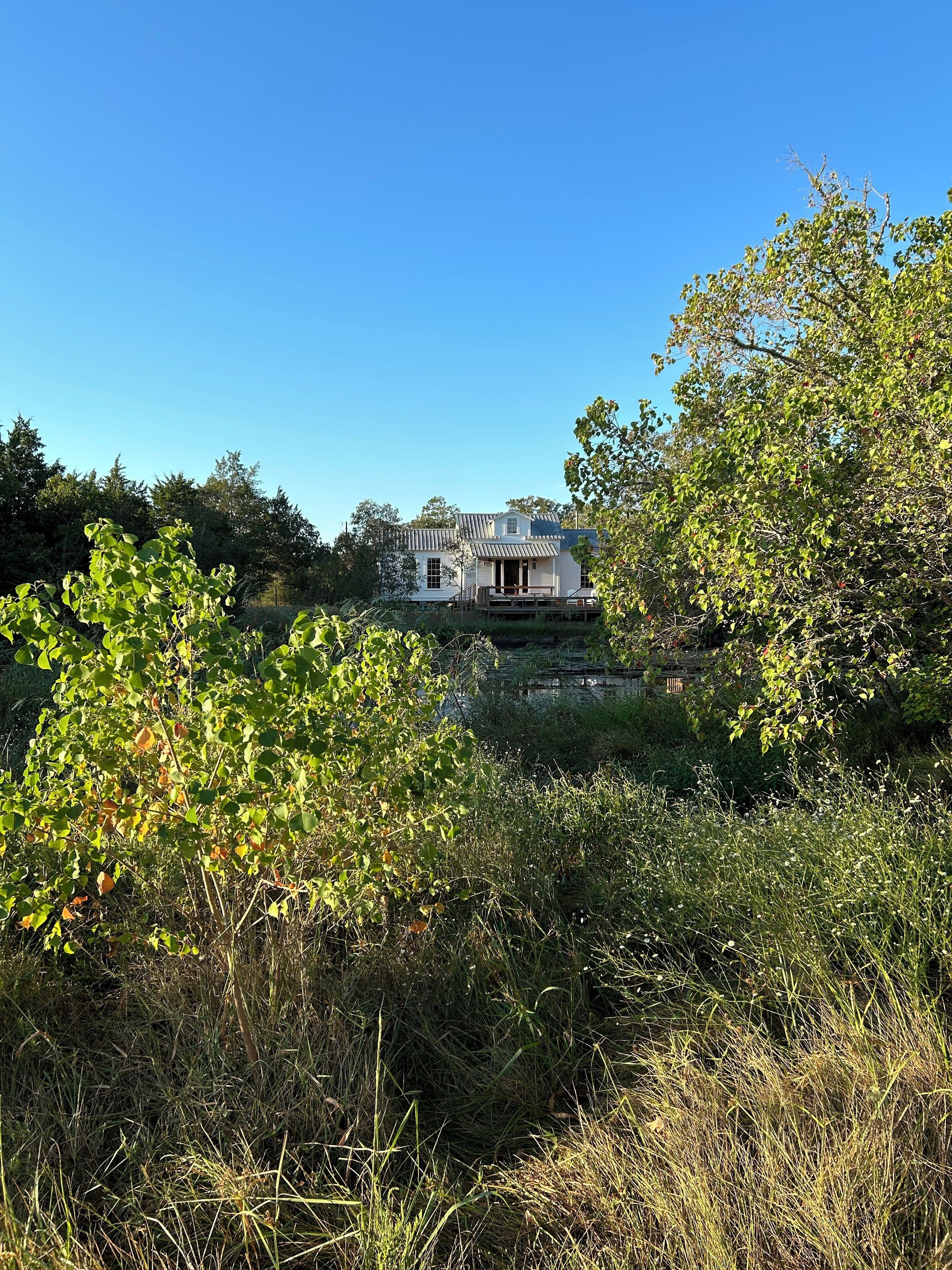 Terrain de l’hébergement 