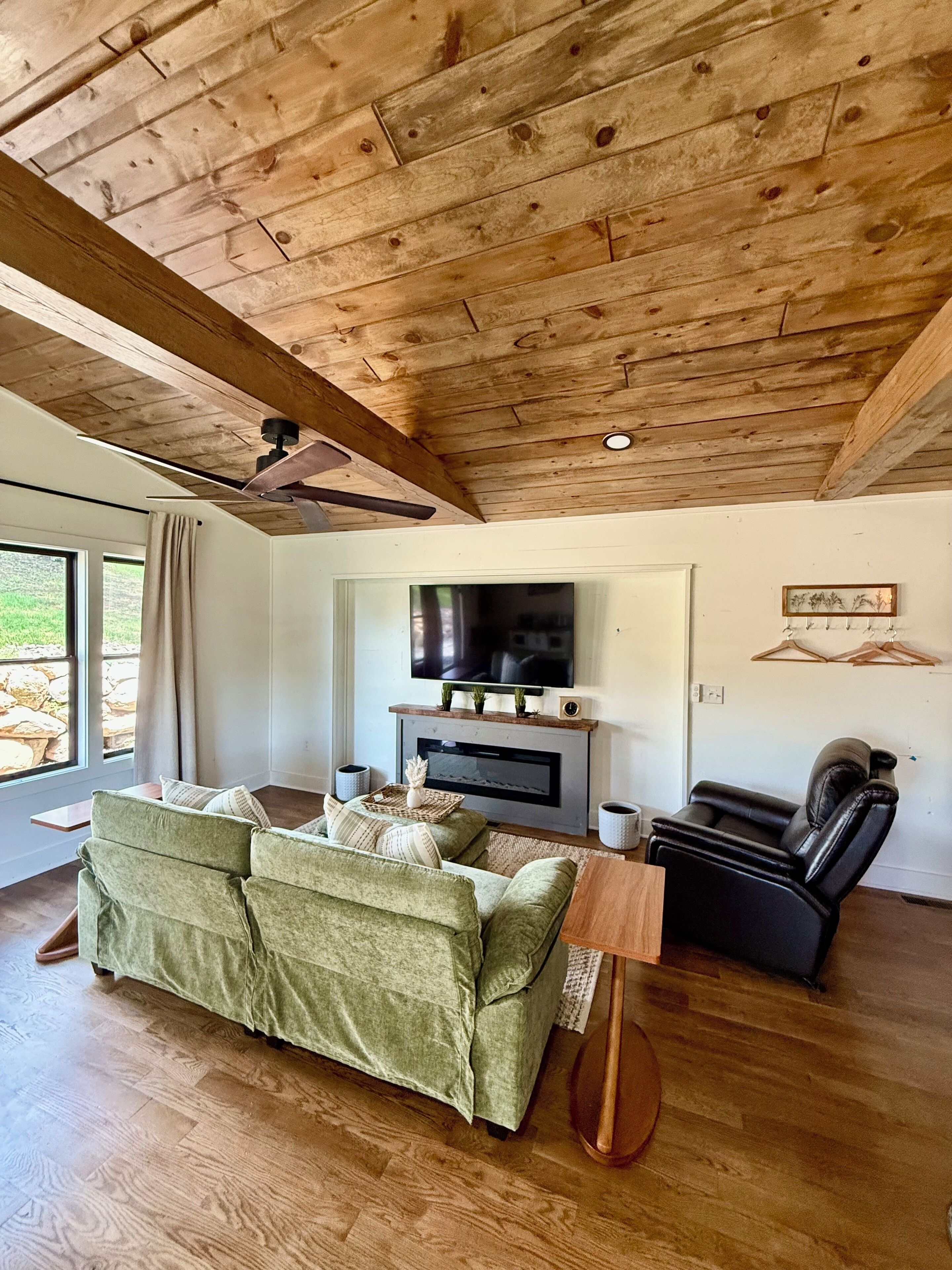 Smart TV, fireplace, books