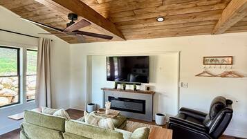 Smart TV, fireplace, books