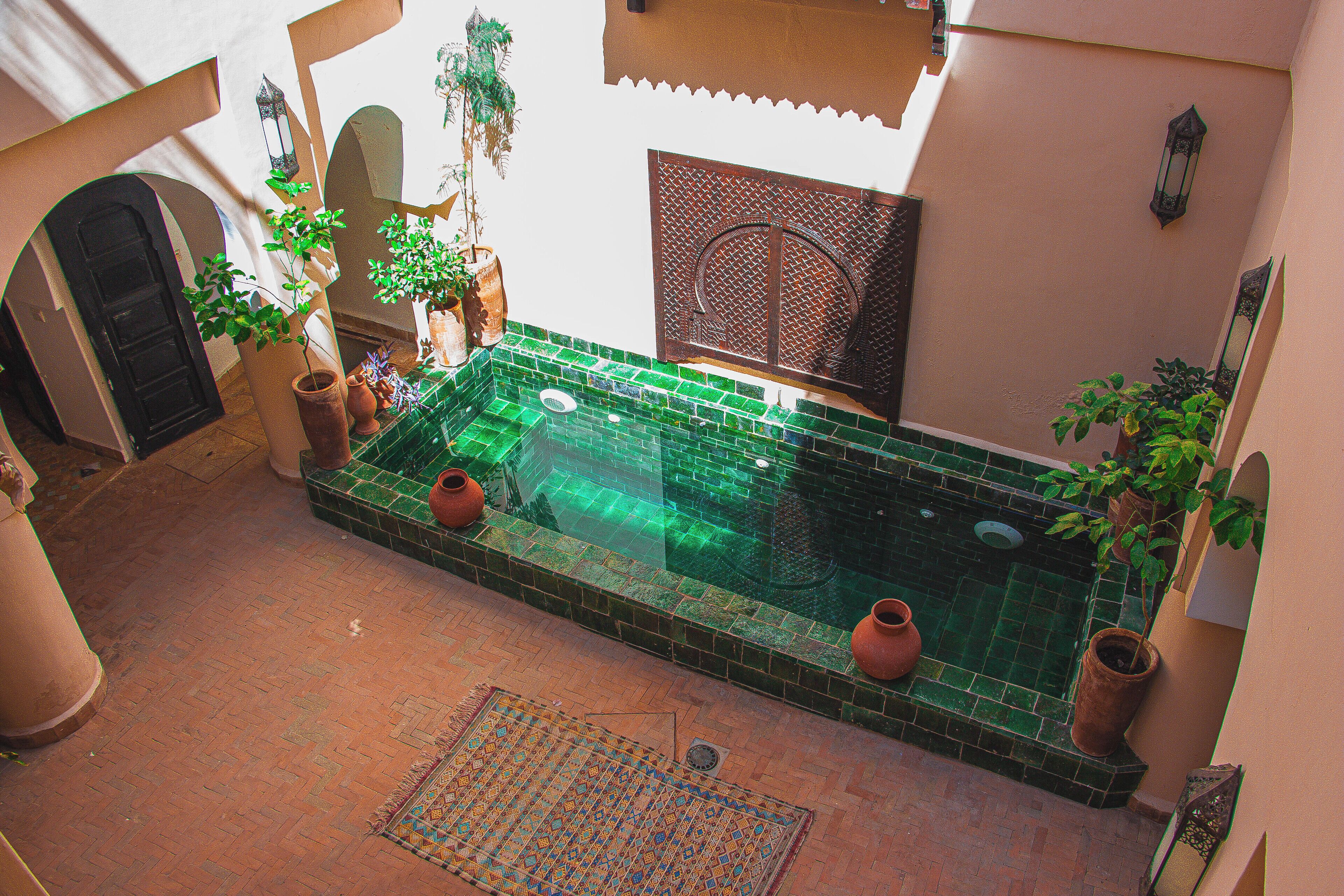 Un pati amb piscina, plantes en testos i una catifa amb dibuixos.