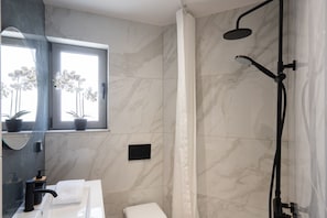 Shower, hair dryer, towels
