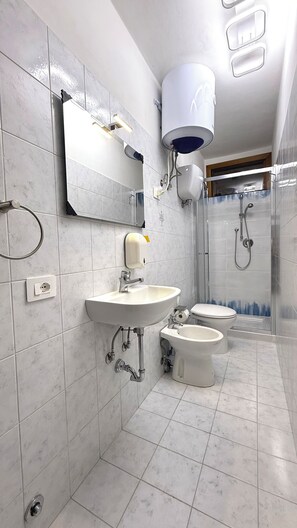Shower, hair dryer, bidet, towels