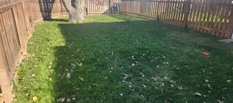 Spacious Duplex that is pet friendly