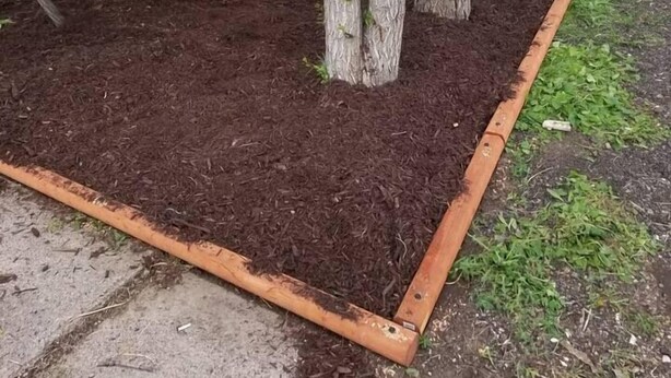 Een tuin met houten omheining, bomen en mulch.