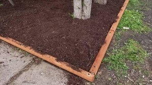 A garden area with a wooden fence, trees, and mulch. - Cheyenne Frontier Homes #4 (Cheyenne)