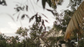 A house with a reflection in a calm body of water, surrounded by lush greenery and palm trees.