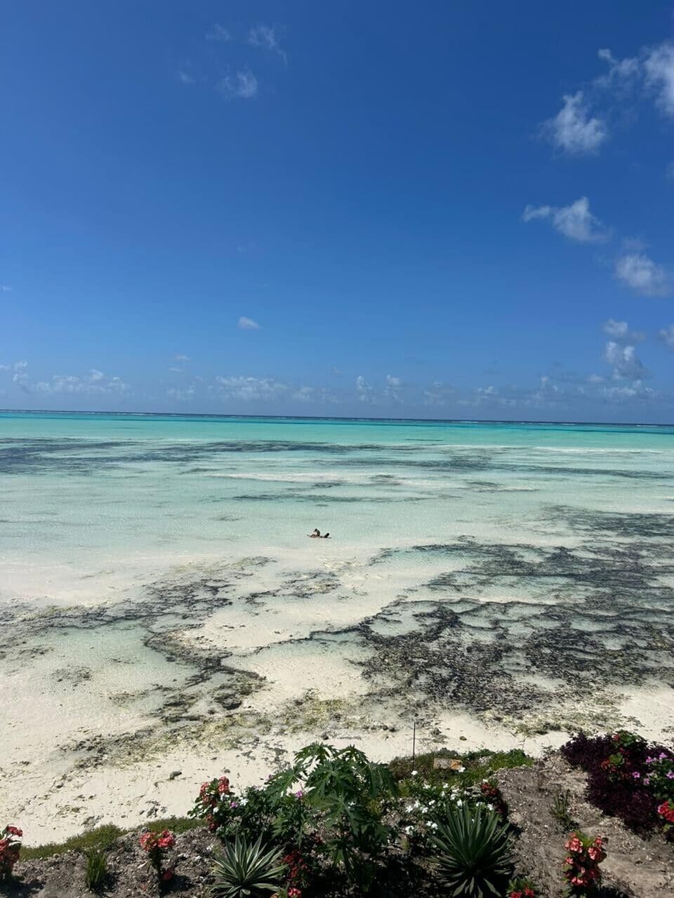 A beach with clear turquoise water, white sand, and sparse vegetation.