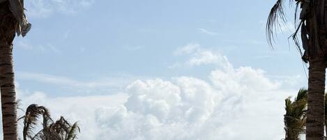 3 udendørs pools, parasoller, liggestole