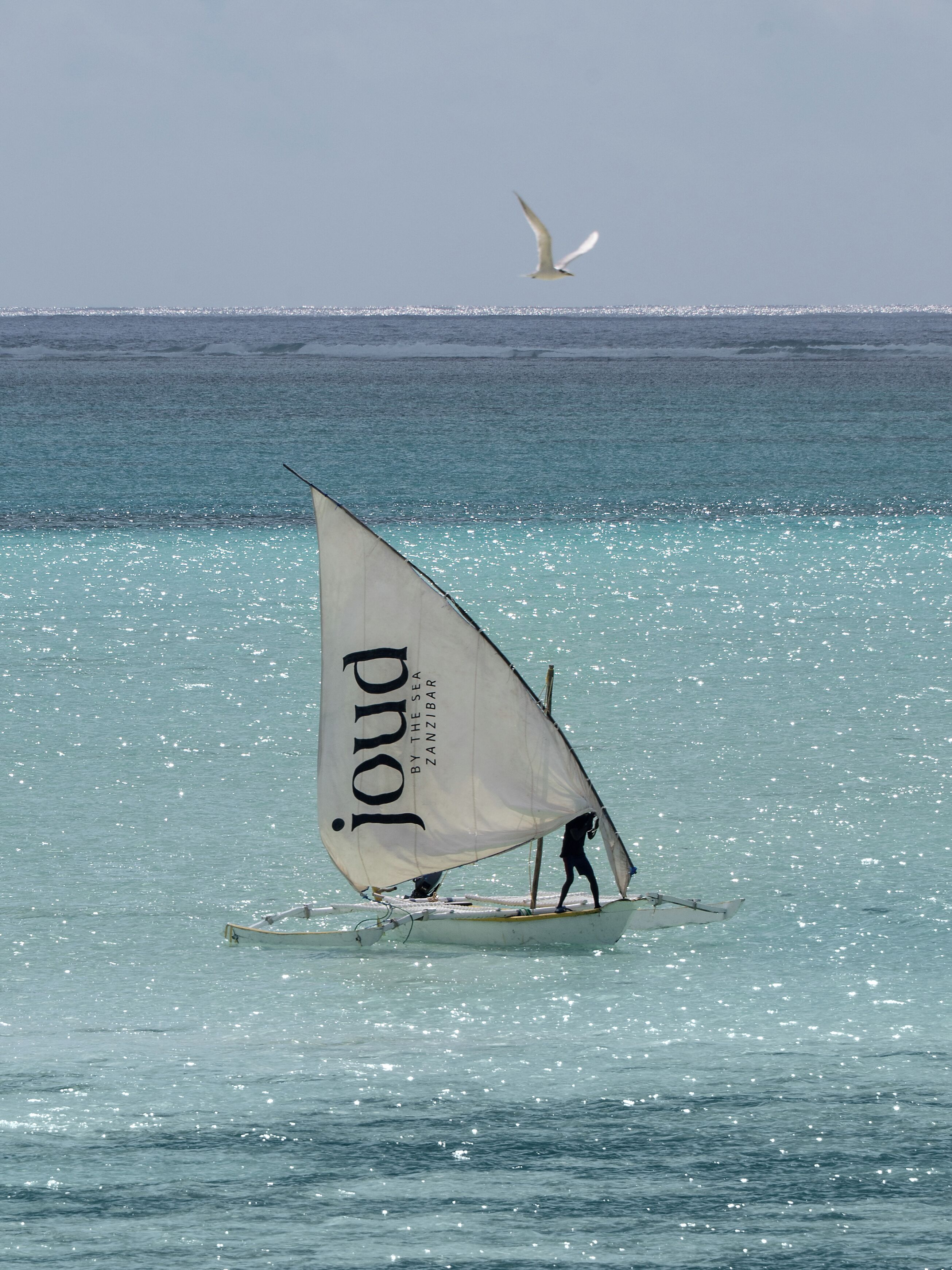 Ein Segelboot mit einer mit 'joud by the sea Zanzibar' beschrifteten Segel auf ruhigem türkisblauem Wasser.