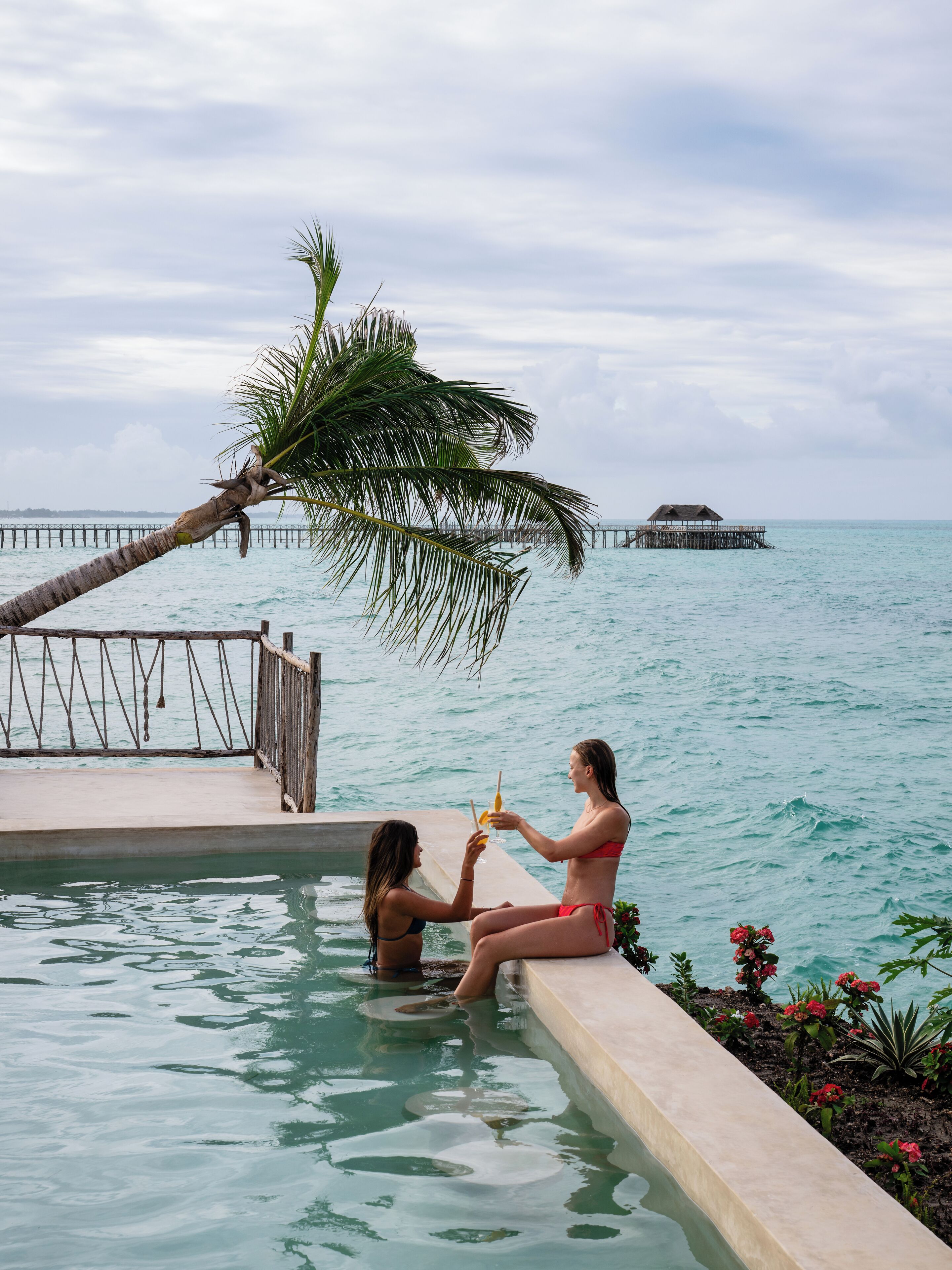 A pool area with a palm tree, a pier, and a view of the ocean.