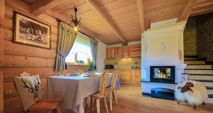 Charming 3-bedroom chalet with WiFi and big garden near Zakopane