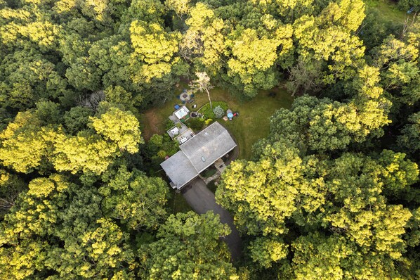 An aerial view of a house surrounded by dense forest.