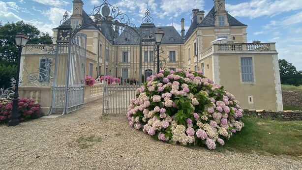 A large, historic building with a symmetrical facade, a gated entrance, and a well-maintained garden with pink flowers. - An enchanting chateau set in 10 hectares of wooded parkland, in absolute peace and quiet! (Les forges)