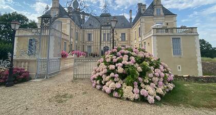 Chùteau féerique dans un parc arboré de 10 hectares,au calme absolu !