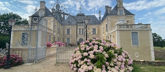 An enchanting chateau set in 10 hectares of wooded parkland, in absolute peace and quiet!