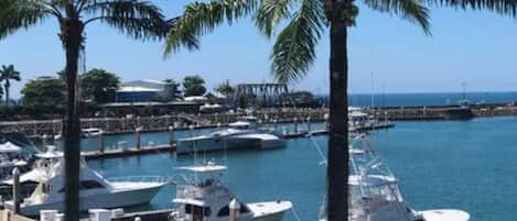 Jachthaven