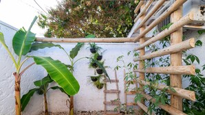 A rustic wooden structure with a ladder, surrounded by lush greenery and a white wall. - Cozy Lakefront Suites RGB (Hidrolandia)