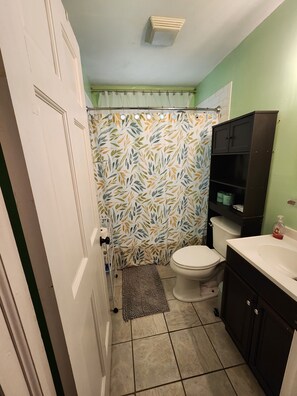 Un bagno con il water, un lavandino, un armadietto, una tenda per la doccia e un tappeto.