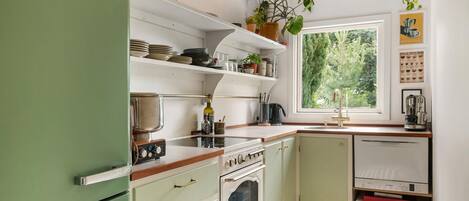 A kitchen with a stove, oven, microwave, and sink. There are shelves with dishes and a plant hanging from the ceiling.