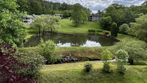 A serene landscape with a pond, lush greenery, and residential buildings in the background.