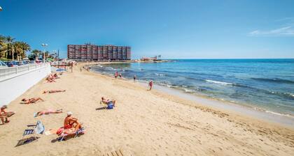 Pet friendly home in Torrevieja