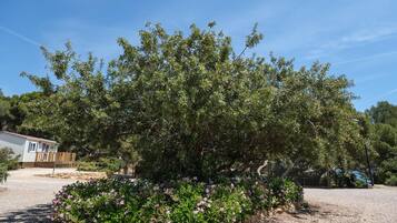 Mobil Karavan | Detail interior