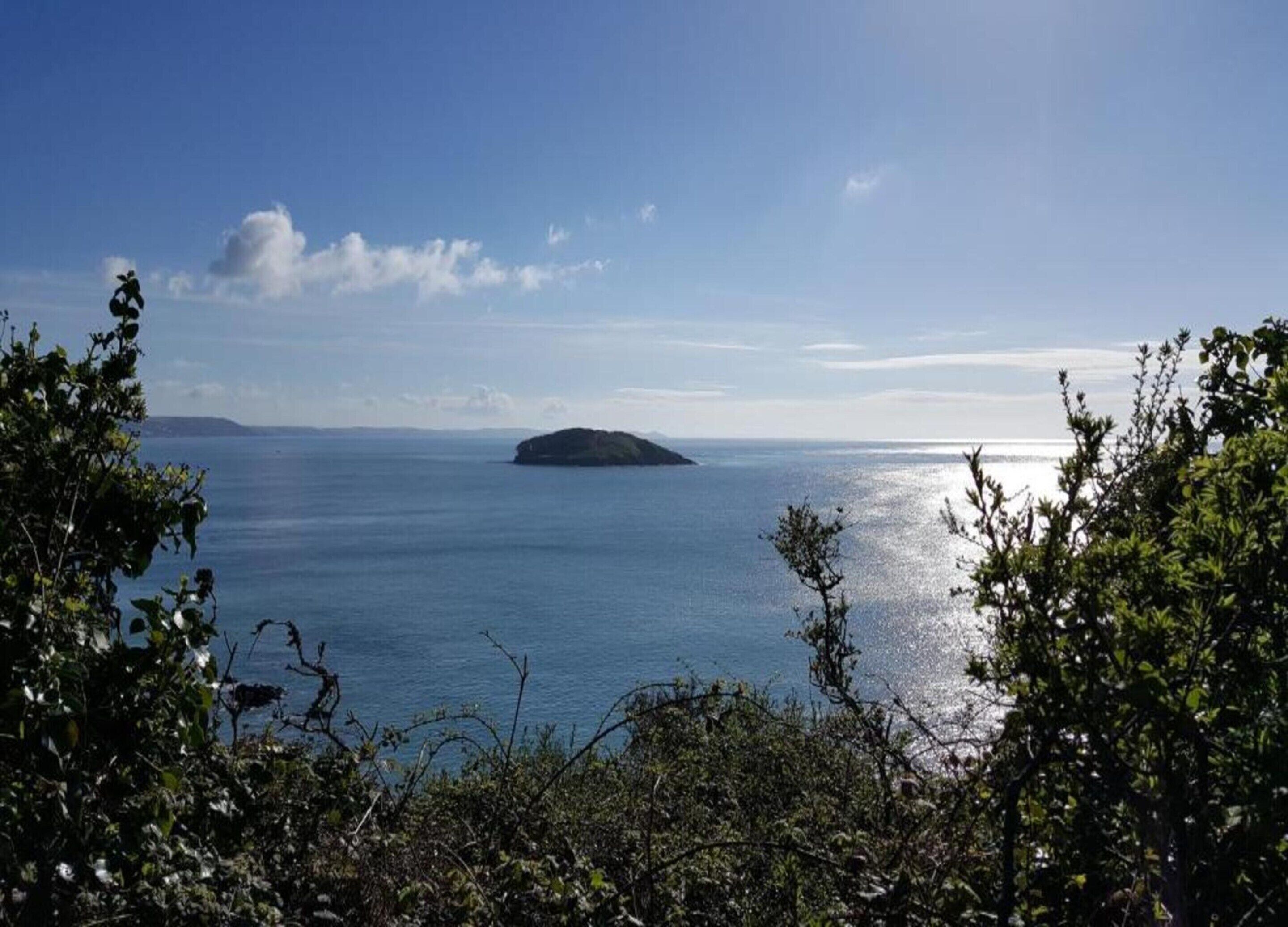 Vista desde la propiedad