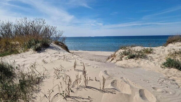 Ein sandiger Strand mit spärlicher Vegetation und blauem Himmel.