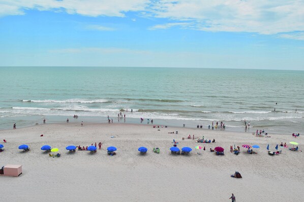 Nära stranden