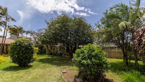 A well-maintained garden with various trees and shrubs, a clear sky, and a stone wall in the background. - SJS - Condominium Near the Beach of the English (Florianópolis)