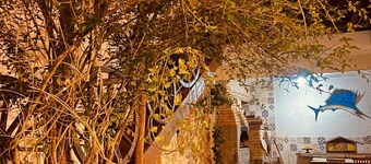 La Civetta Maresias Pousada e Holtel