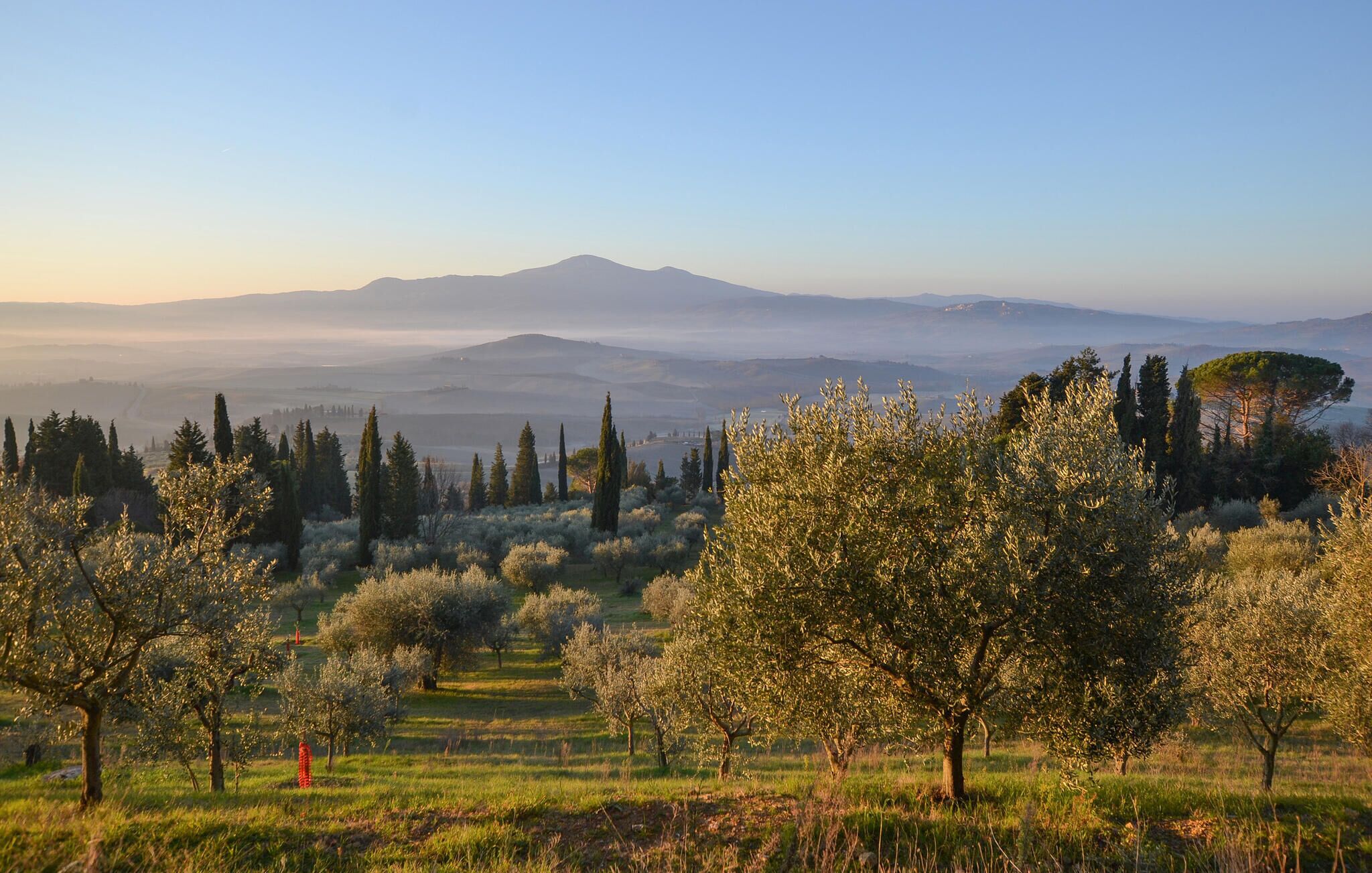 A landscape with rolling hills and a clear sky.