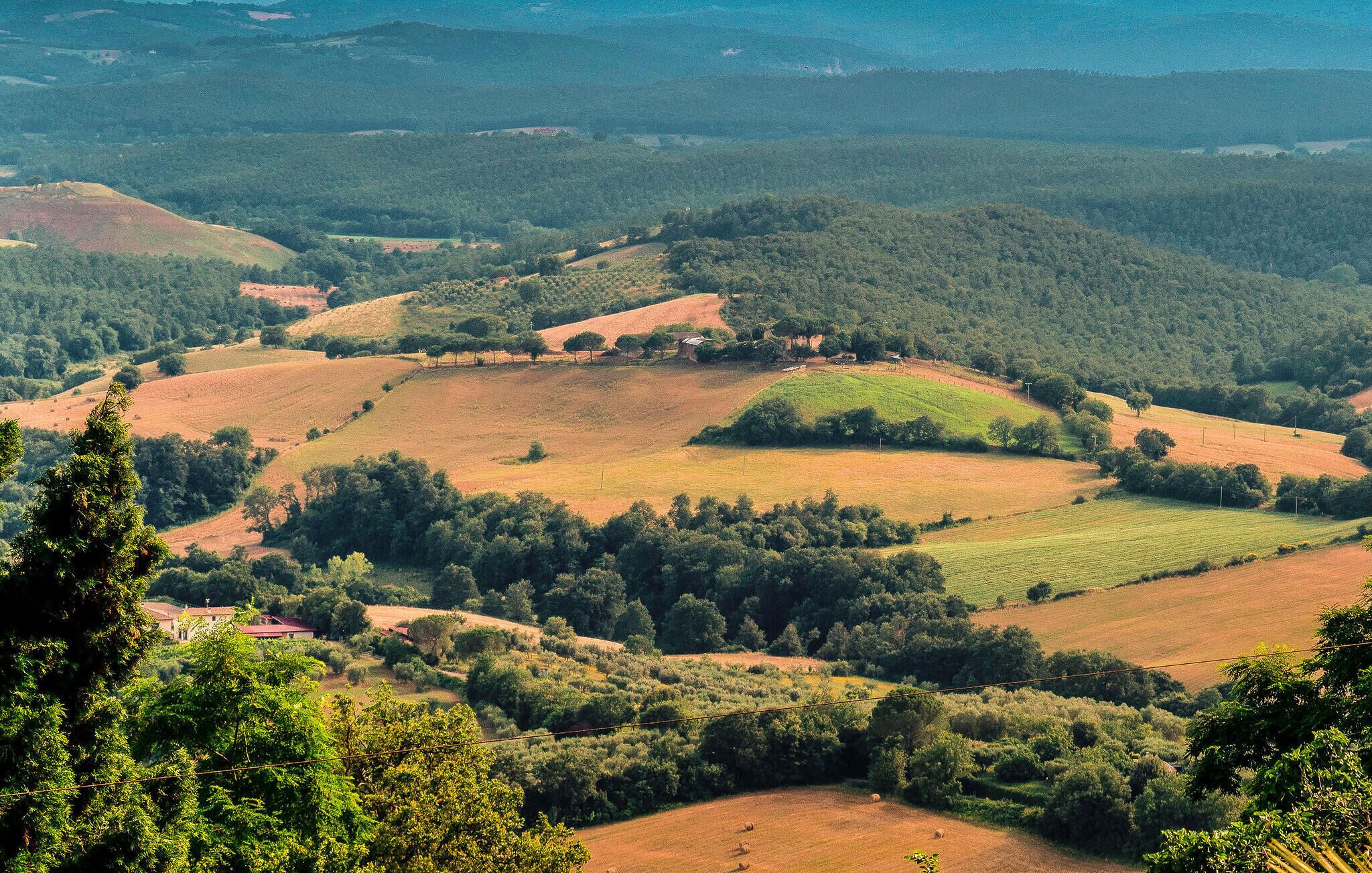 Panoramica di un paesaggio collinare con campi, alberi e un piccolo edificio.