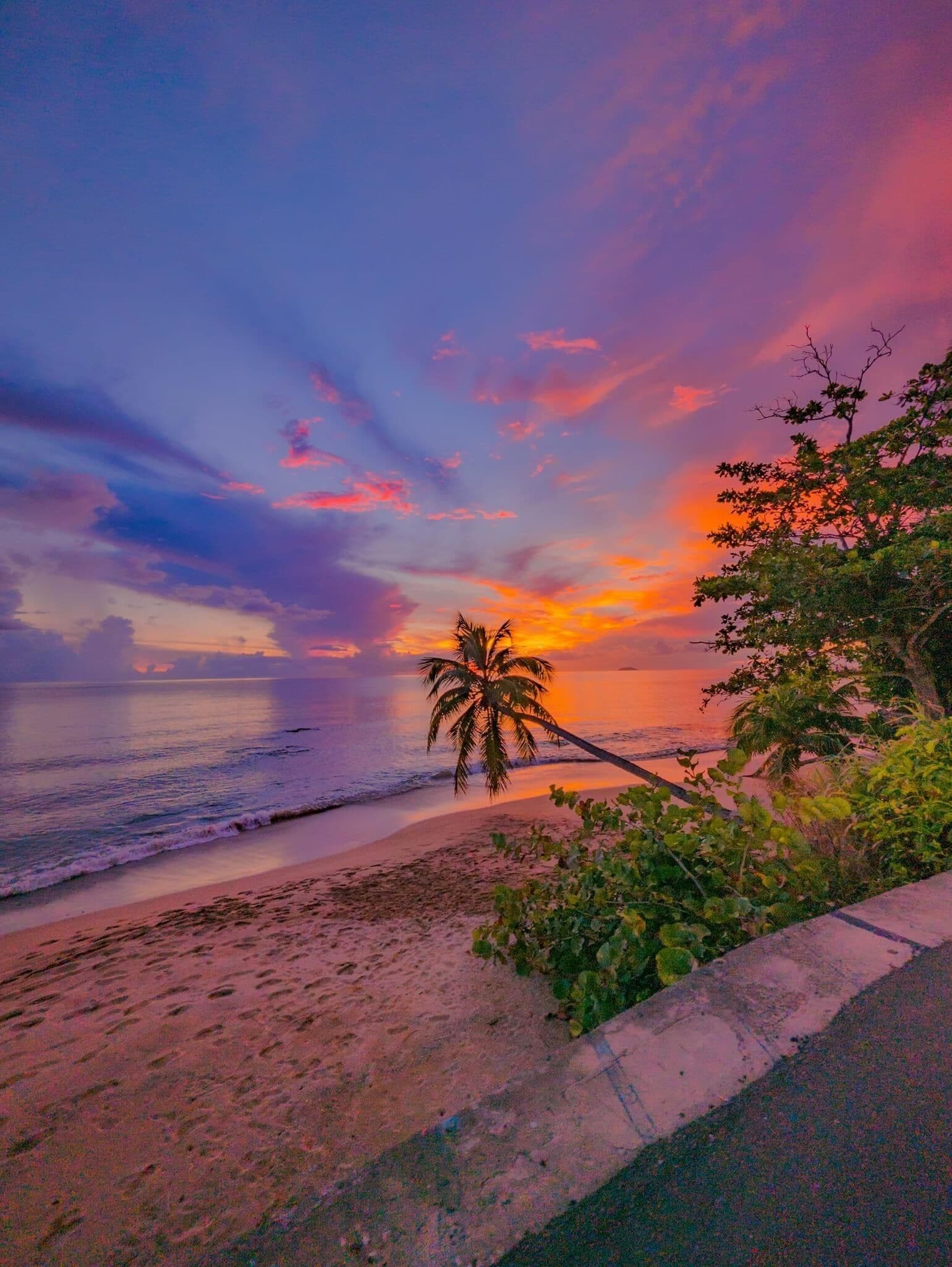 Sun-loungers, beach towels
