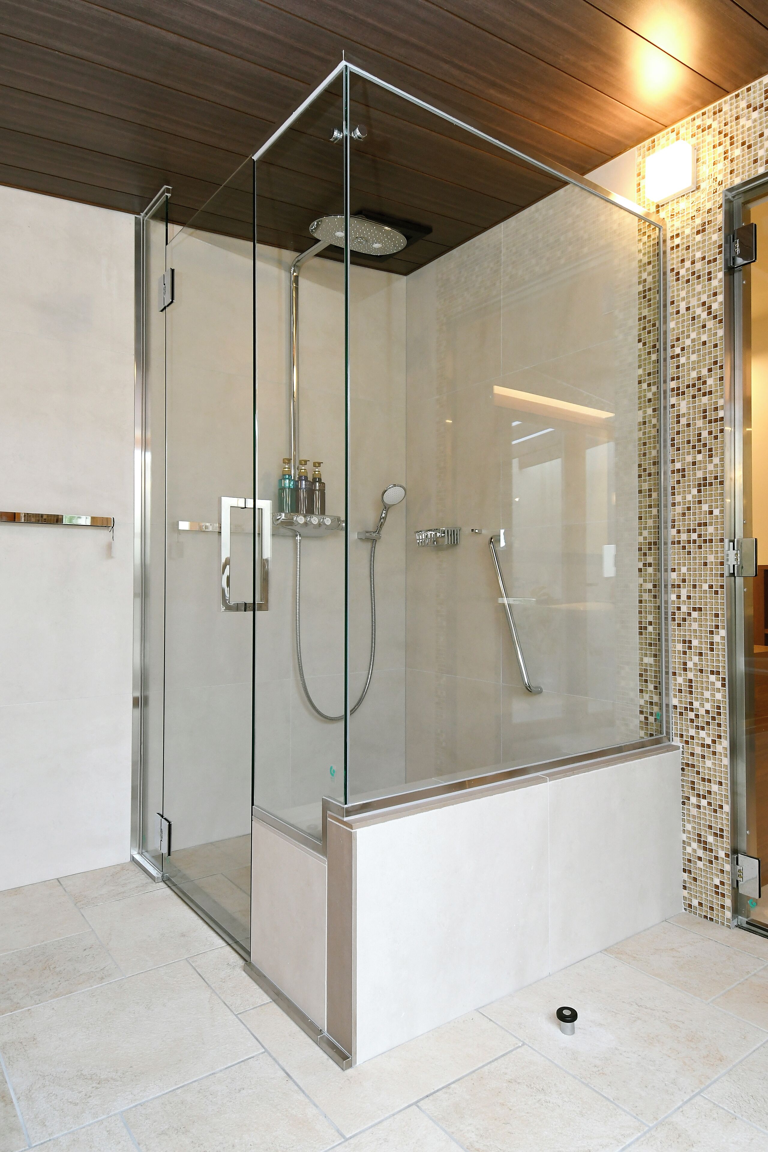 A modern shower enclosure with a glass door, a handheld showerhead, and a wall-mounted control panel.