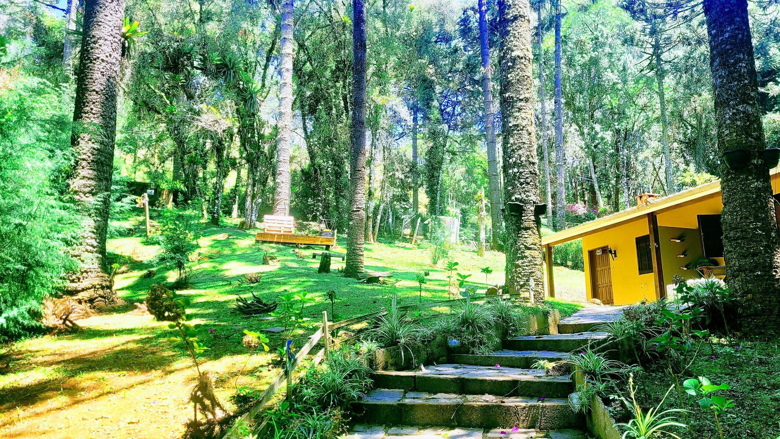 Chalet | Enceinte de l’hébergement