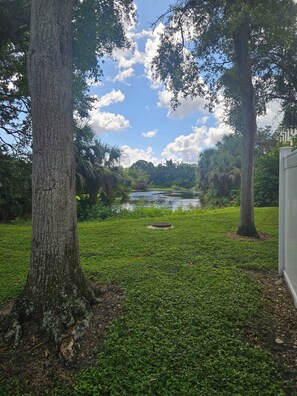 A grassy area with trees and a body of water. - Charming 2-bedroom, 2 bath, apartment with WiFi, AC in wonderful Clearwater (Clearwater)