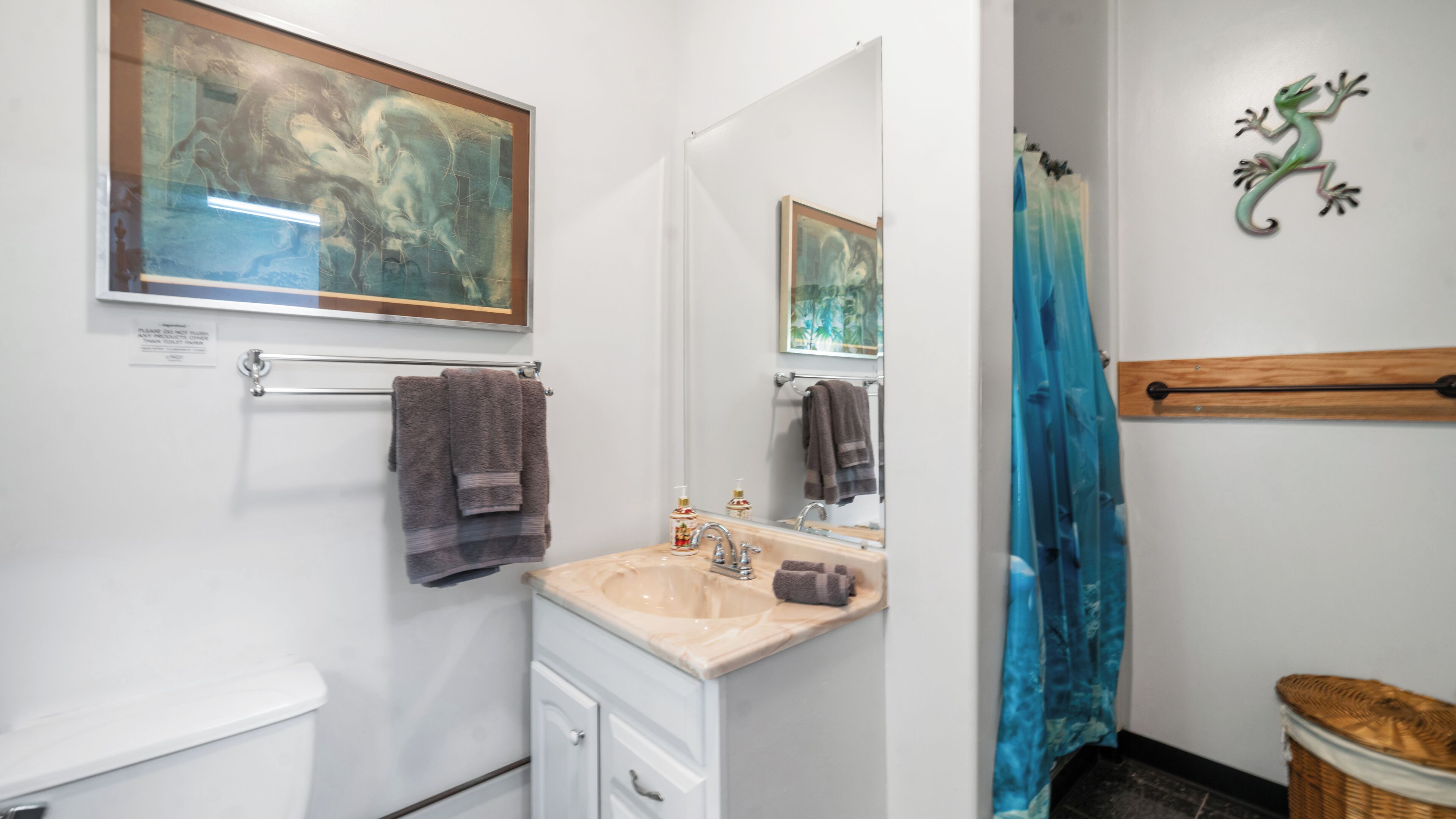 Hair dryer, towels, soap, toilet paper