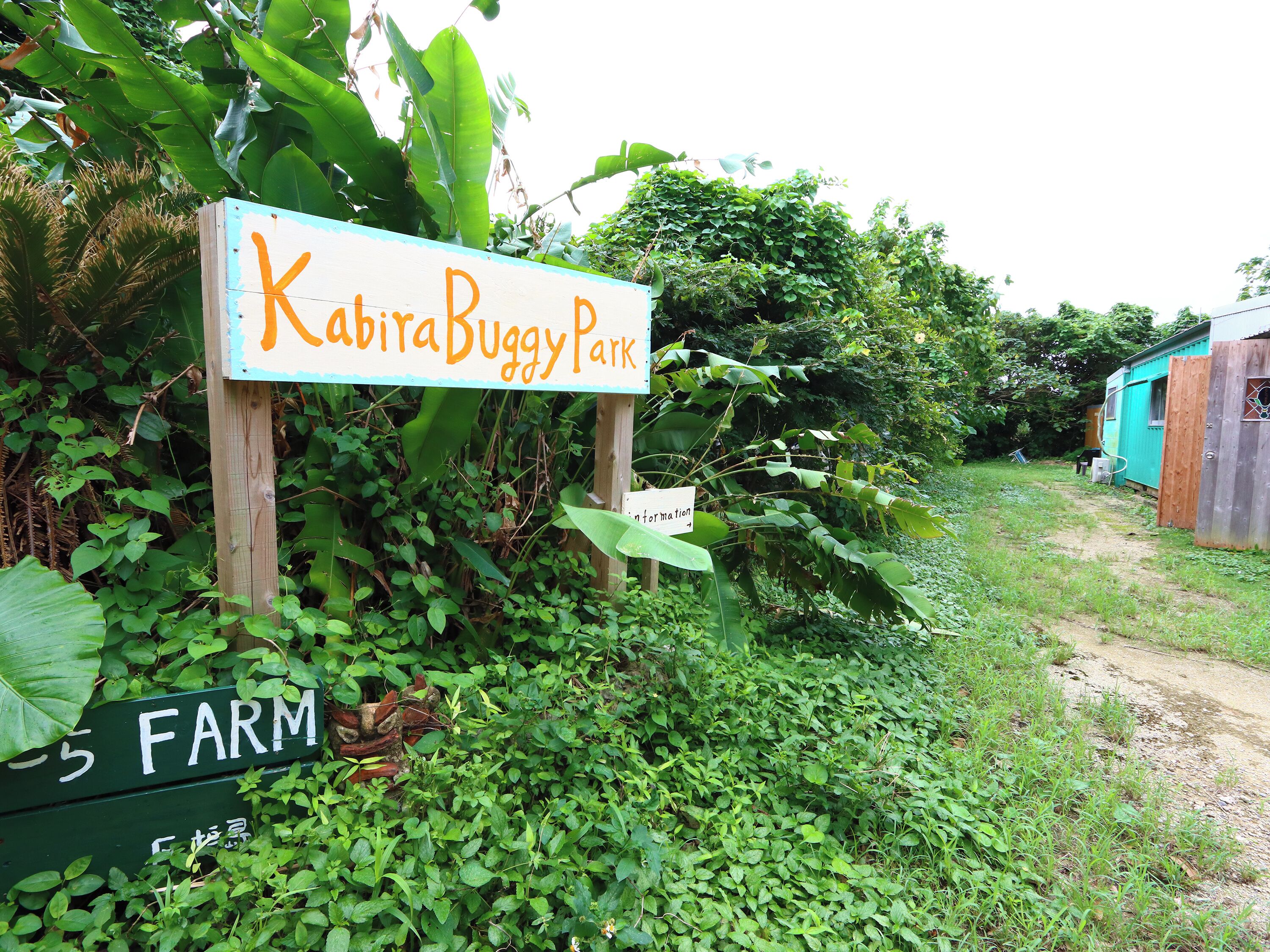 Children’s activities