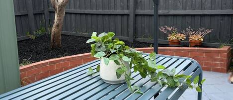 Terrace/patio